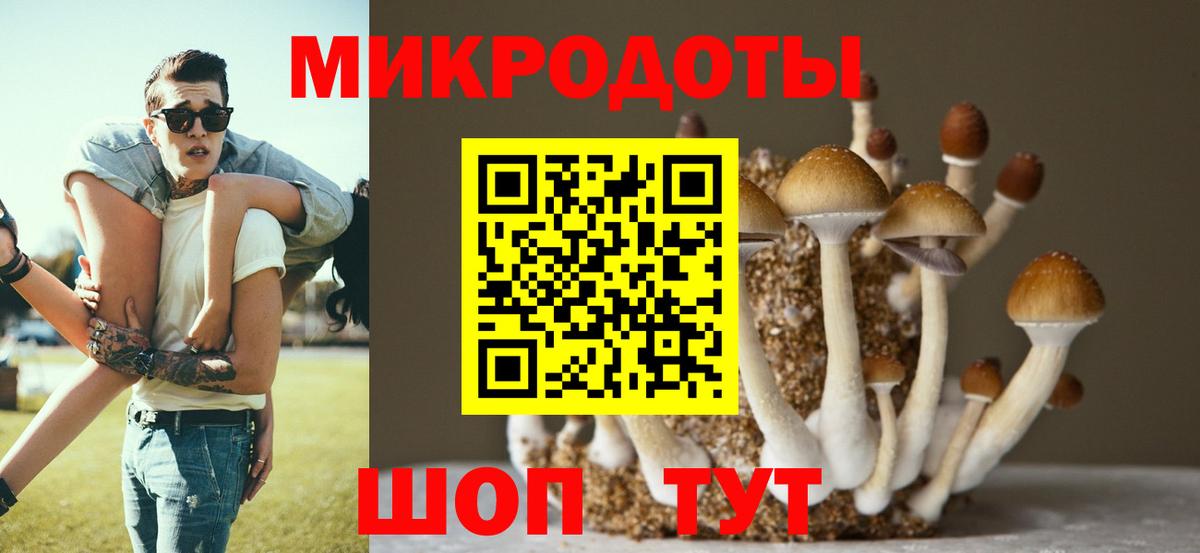 Псилоцибиновые грибы ЛСД Кашира